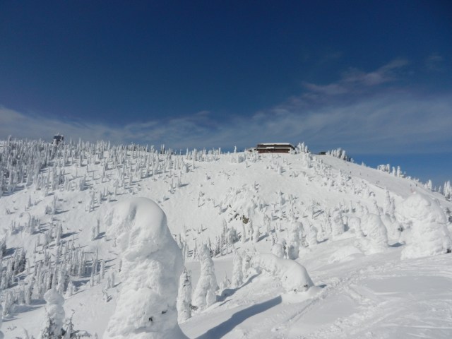 Big Mountain Bluebird - Summit House