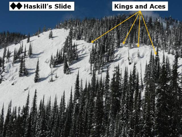 Haskills Kings and Aces