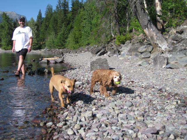 Lady - Rosie - Uncle Jay - Lake McDonald